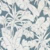 Parlour Palm 112023